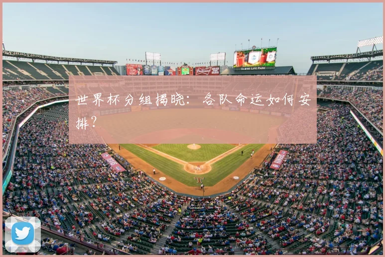 世界杯分组揭晓:各队命运如何安排?