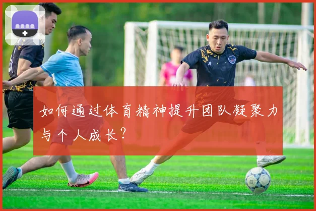 如何通过体育精神提升团队凝聚力与个人成长？