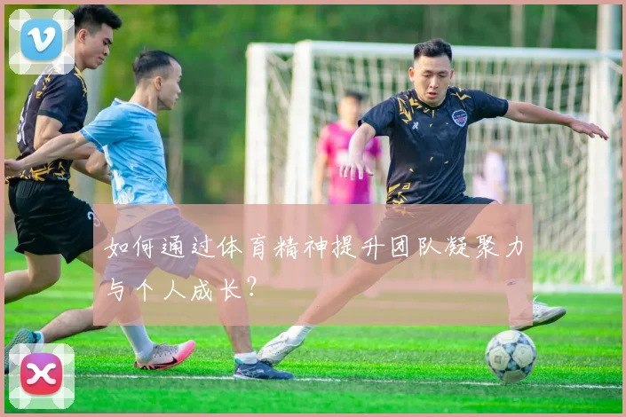 如何通过体育精神提升团队凝聚力与个人成长？