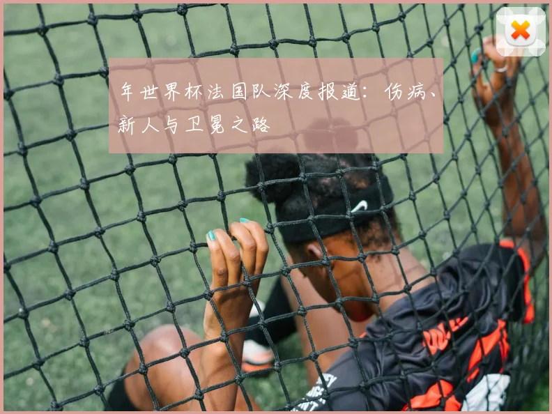 年世界杯法国队深度报道：伤病、新人与卫冕之路